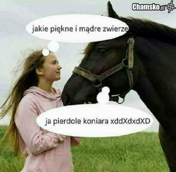 Wiem że to lubicie