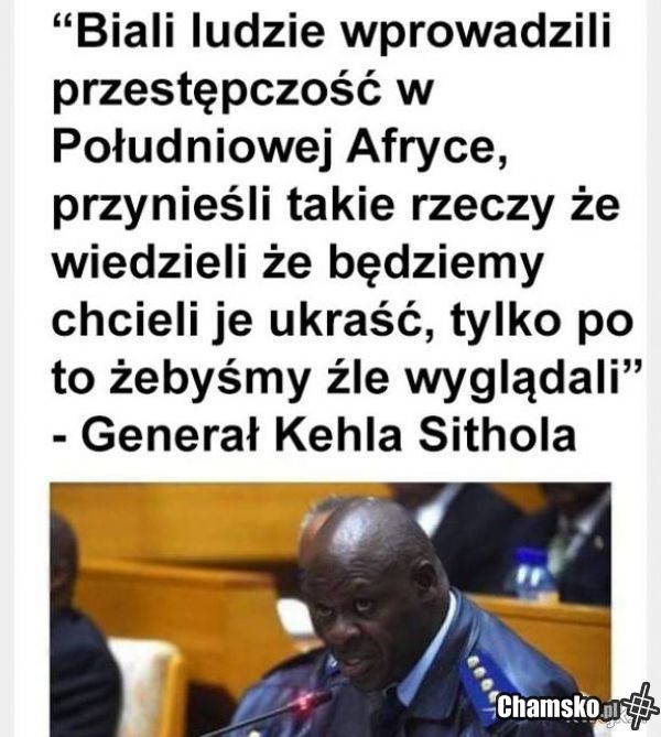 Żelazna logika czarnych
