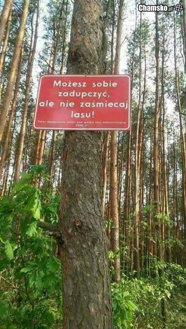 Nie zaśmiecaj lasu