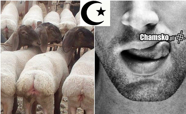 Islam