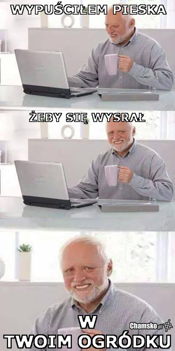 Wypuściłem pieska