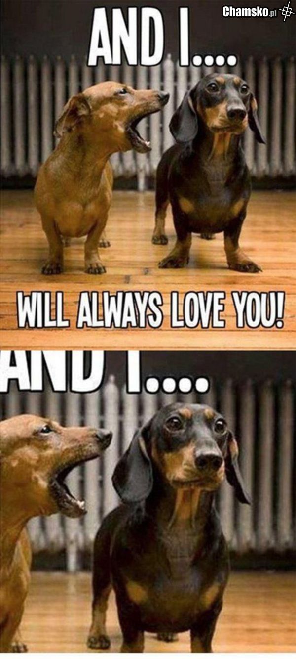 I will