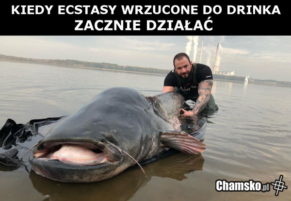 Kiedy ecstasy zacznie działać