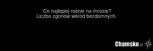 Co najlepiej rośnie na mrozie? Liczba zgonów wśród bezdomnych.