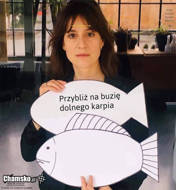 Podążaj za instrukcją