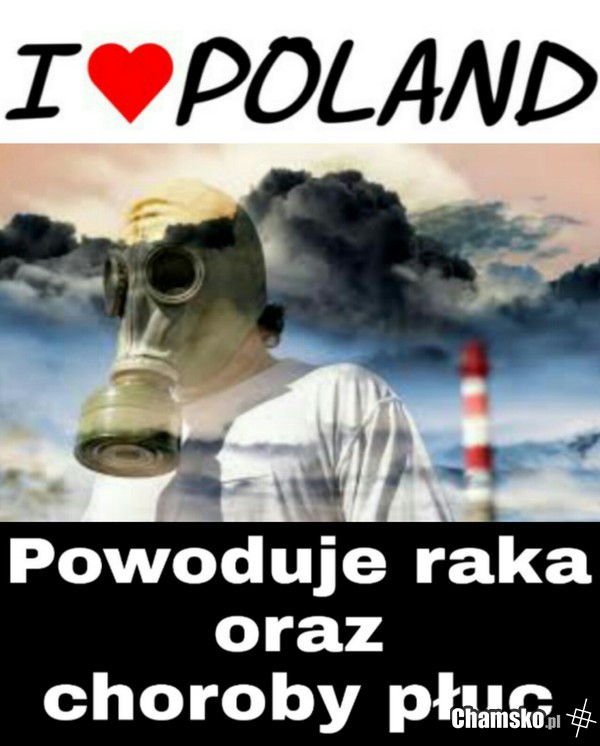 Twoja przyszłość