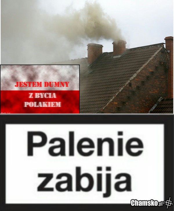 Smröd,kiła i mogiła...