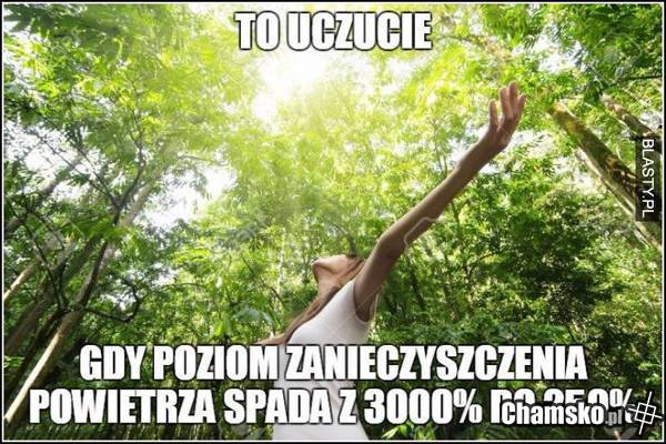 Czyste powietrze