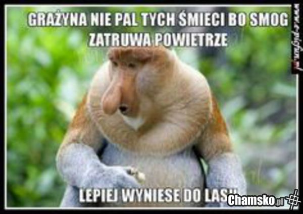 Pomysł