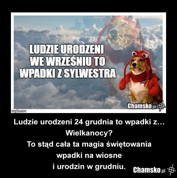 Ludzie urodzeni 24 grudnia to wpadki z...