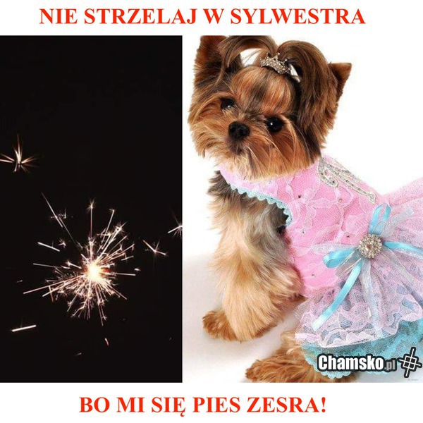 Tyle w temacie :)