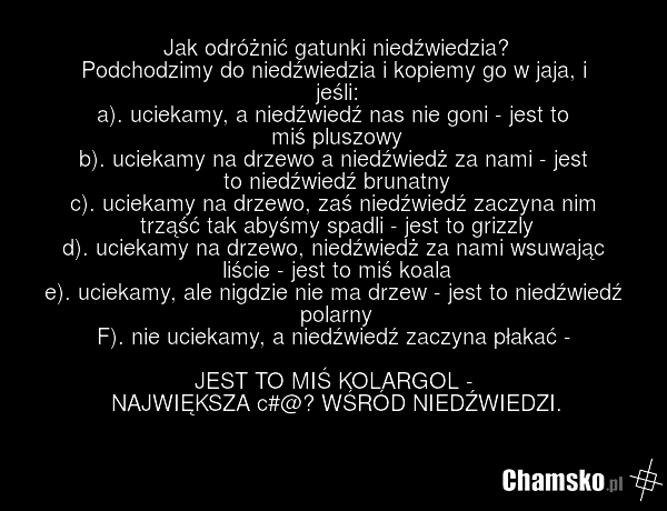 Jak odróżnić gatunki niedźwiedzia? Podchodzimy do niedźwiedzia i kopiemy go w jaja, i jeśli: a). uciekamy, a niedźwiedź nas nie goni - jest to miś pluszowy b). uciekamy na drzewo a niedźwiedż za nami - jest to niedźwiedź brunatny c). uciekamy na drzewo, zaś niedźwiedź zaczyna nim trząść tak abyśmy…