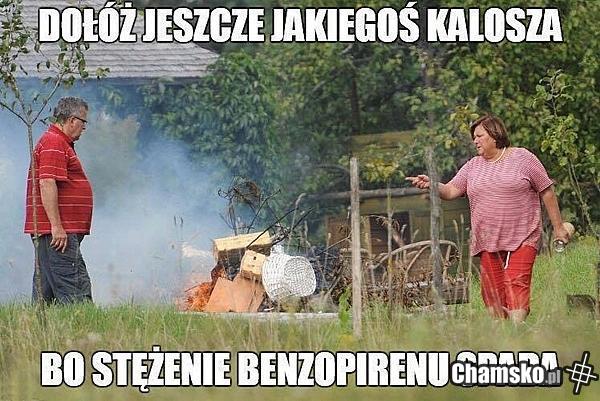 Płezydent