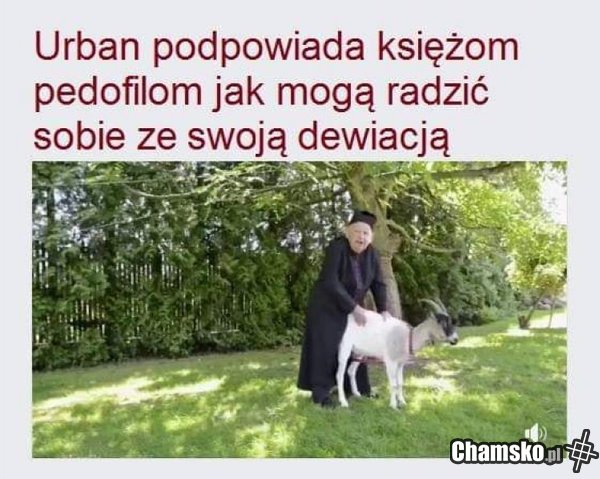 Uszatek