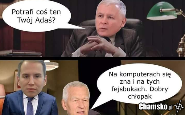 jebac pis tym bardziej po