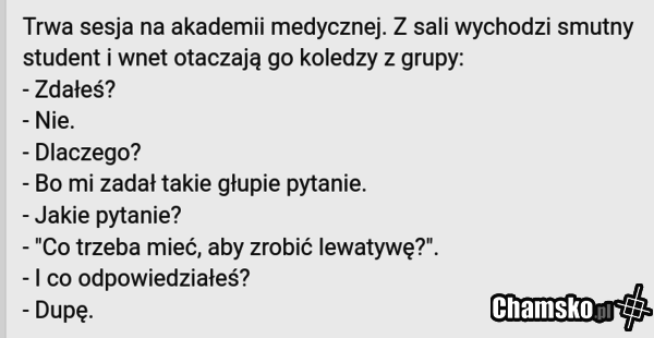 Głupie pytanie