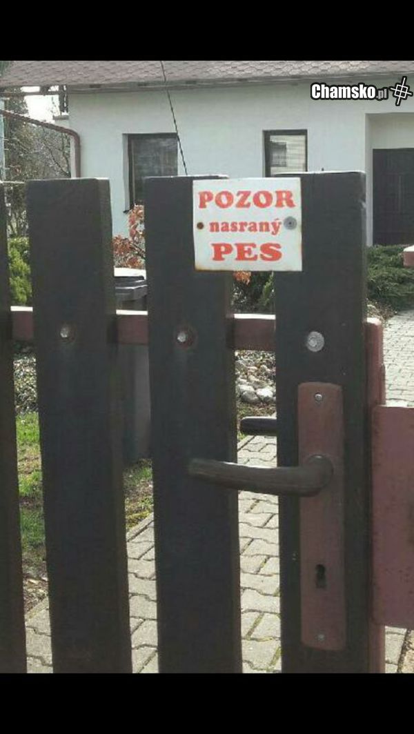 Uwaga na psa !