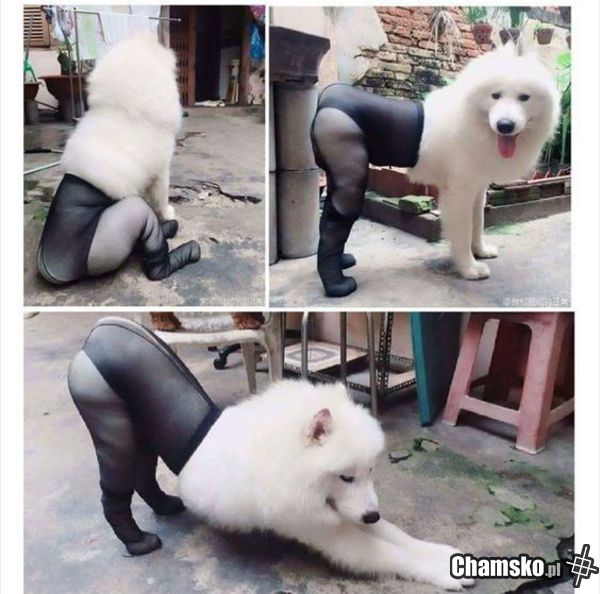 Tap Madel