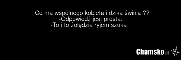 Co ma wspólnego kobieta i dzika świnia ?? -Odpowiedź jest prosta: -To i to żołędzia ryjem szuka