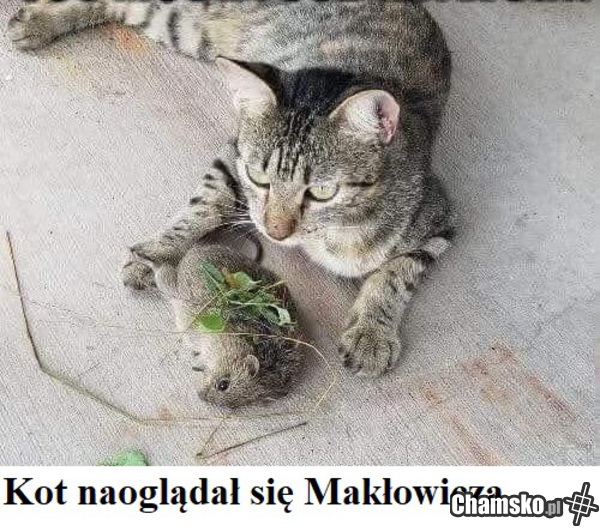 podróże kulinarne