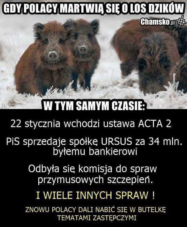Wiadomosci