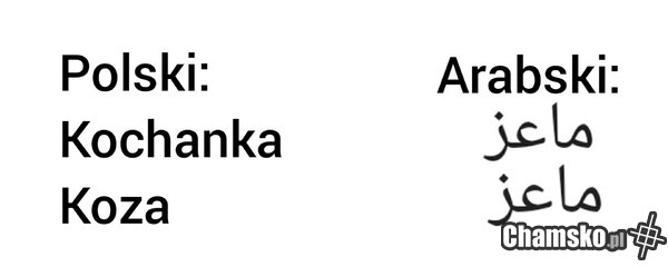 Różnice językowe