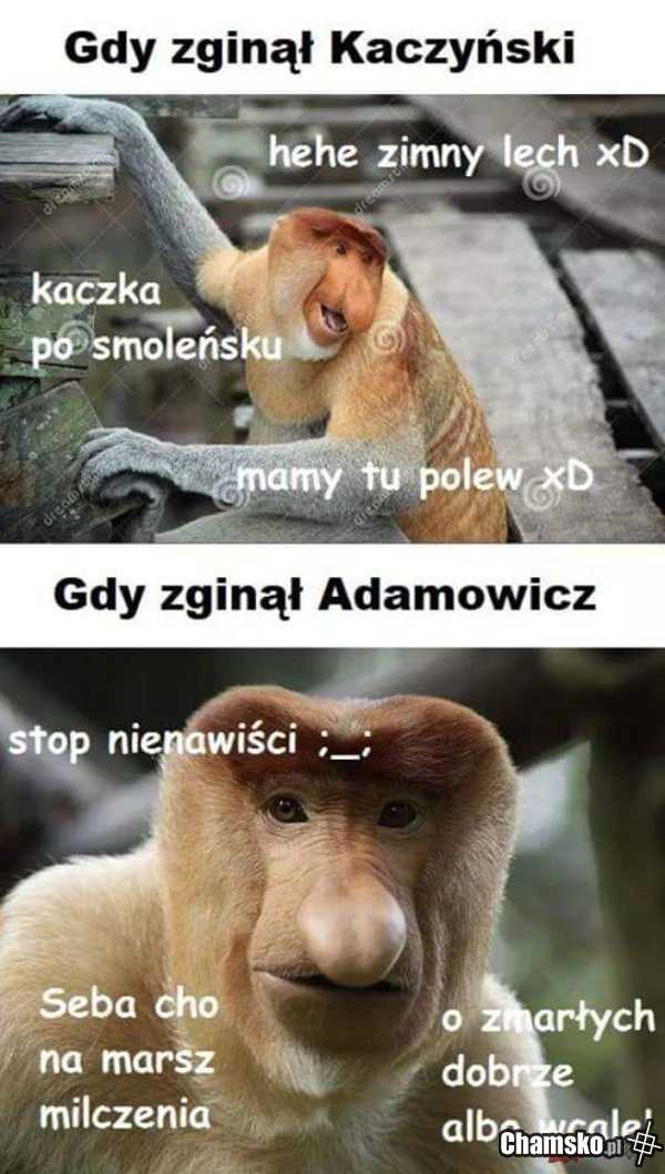 HE HE