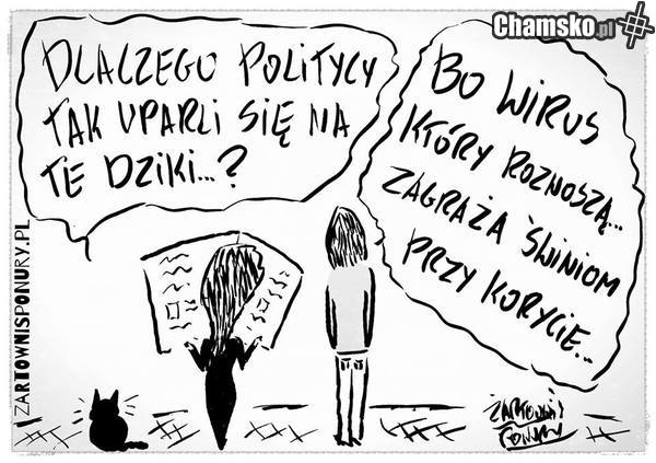 Tymczasem w sejmie...