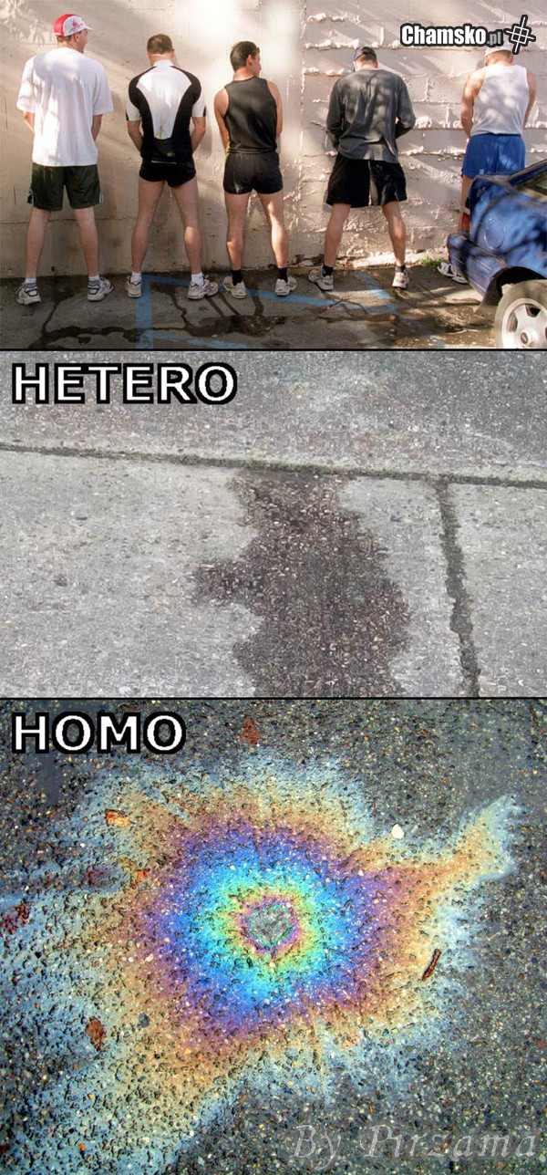 Hetero vs Homo