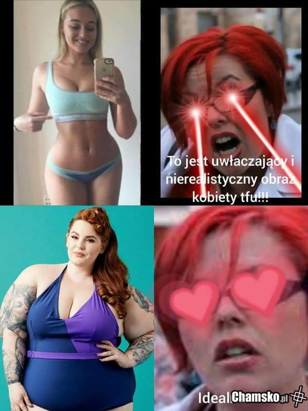 Logika feministek
