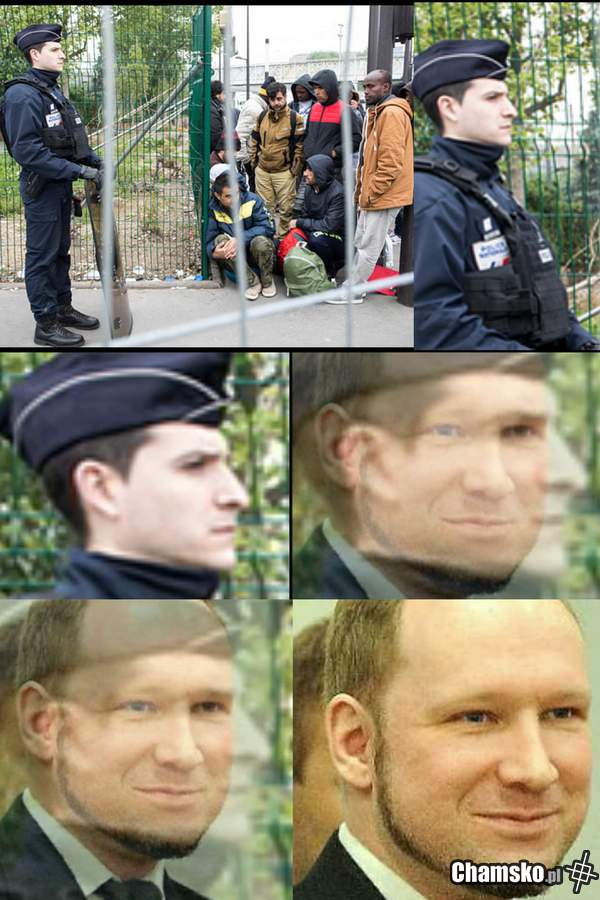 Zniesmaczenie