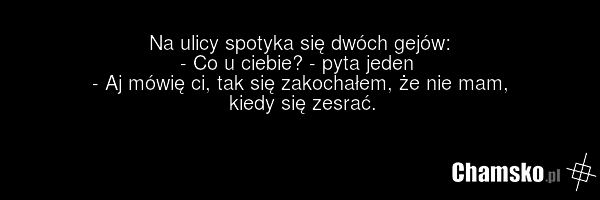 Na ulicy spotyka się dwóch gejów: - Co u ciebie? - pyta jeden - Aj mówię ci, tak się zakochałem, że nie mam, kiedy się zesrać.