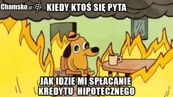 Kiedy ktoś się pyta