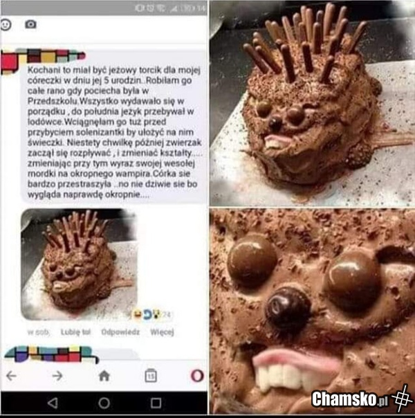 Jeżyk dla córci