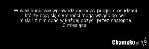 W wieziennictwie wprowadzono nowy program osadzeni którzy boją się ciemności mogą wziąść do celi misia i z nim spać w każdej pozycji przez następne 3 miesiące