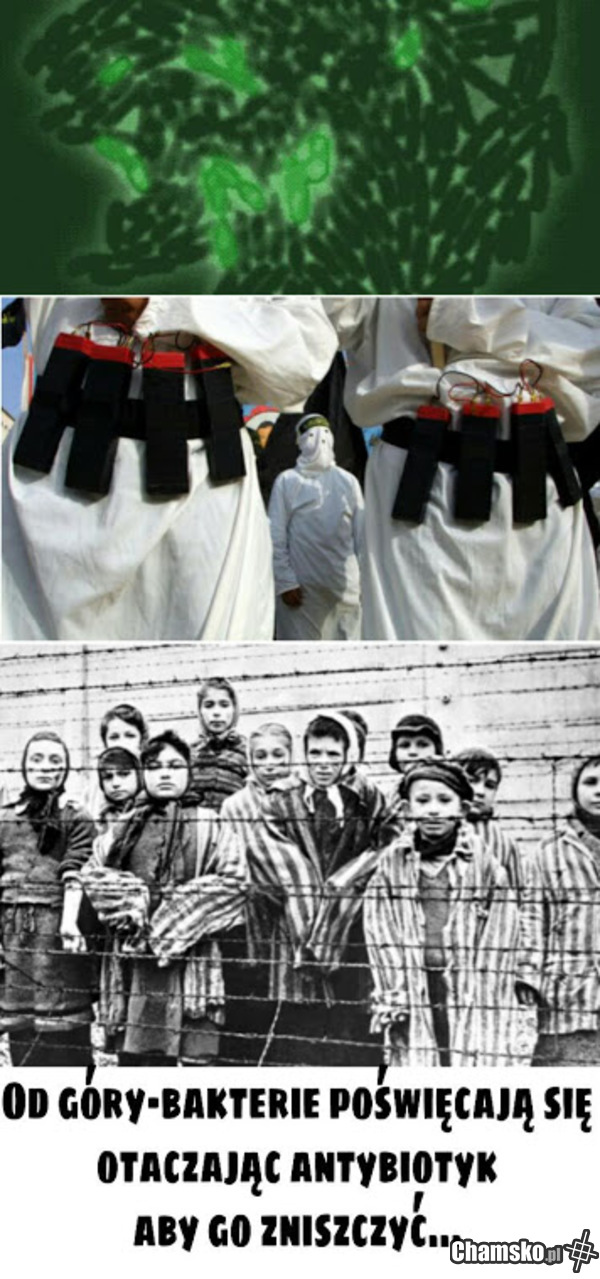 Taktyka...
