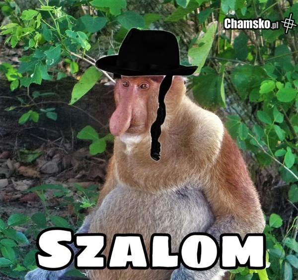 Mosze
