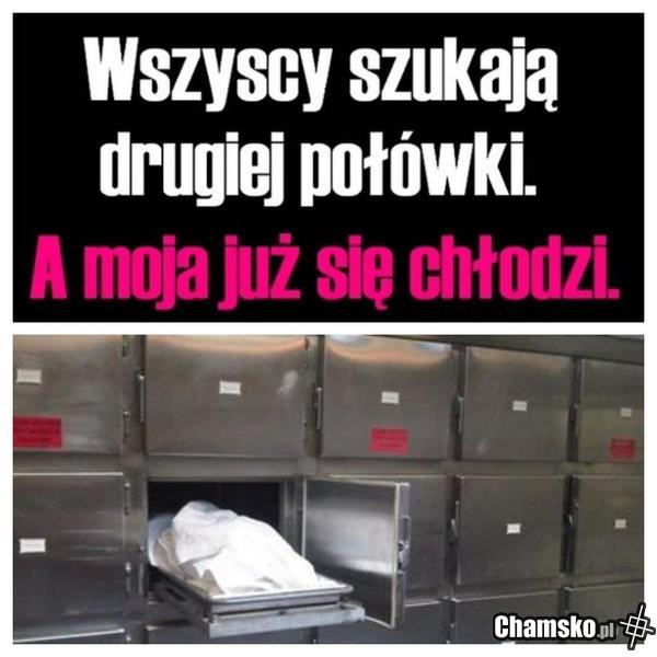 Druga połówka