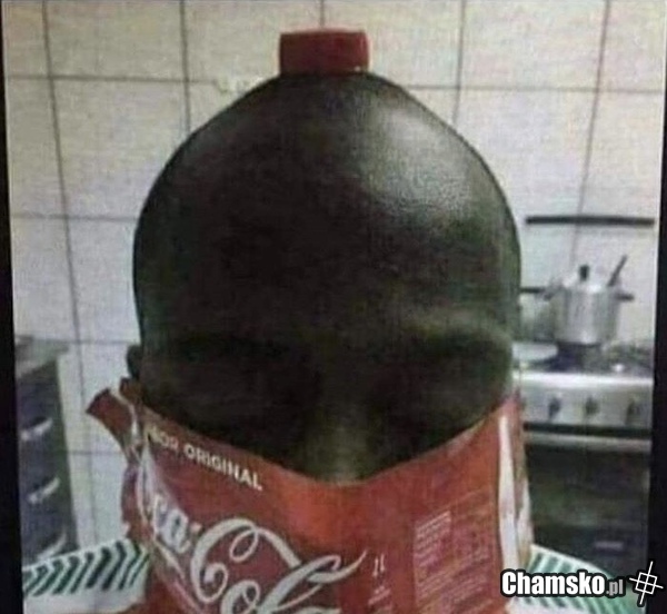 Zabawa w chowanego