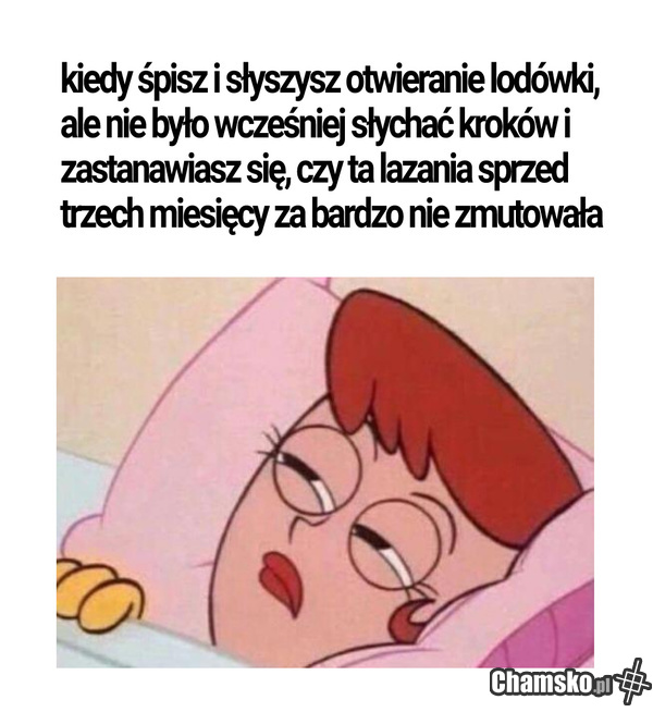 Jedzonko