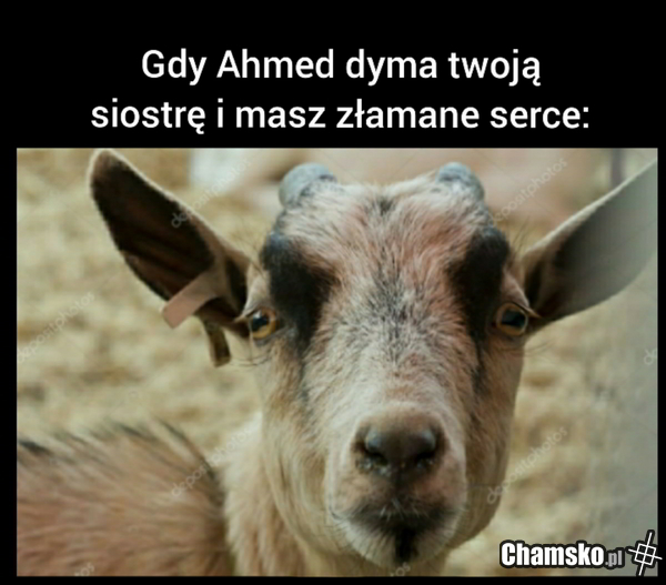 Złamane serduszko