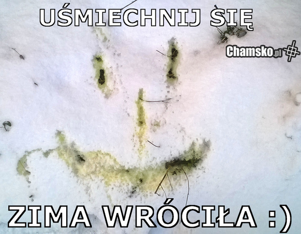 Zima wróciła :)