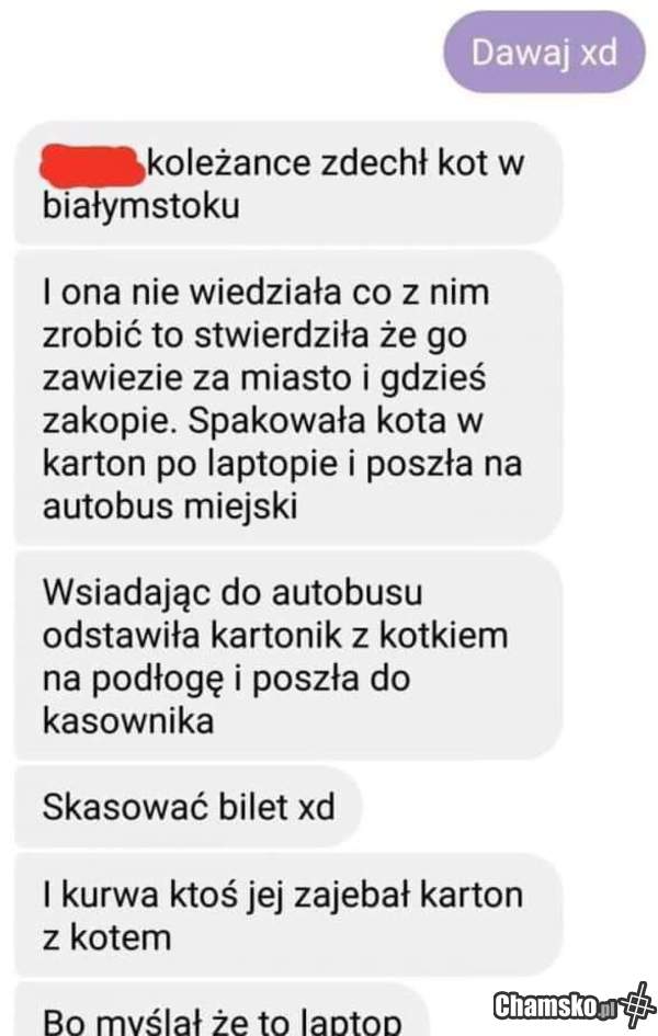 Taka niespodzianka