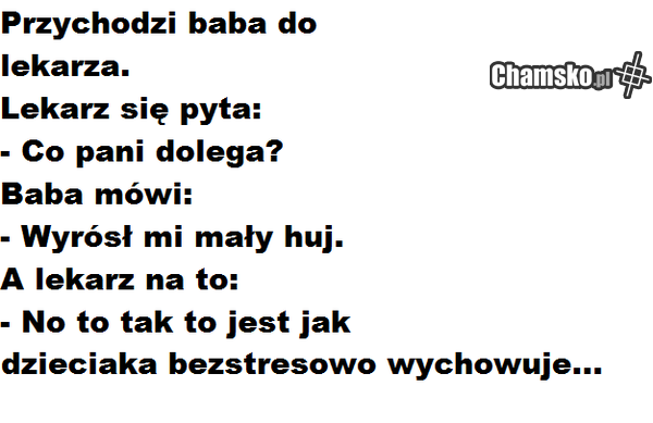 twoja stara cz, IV