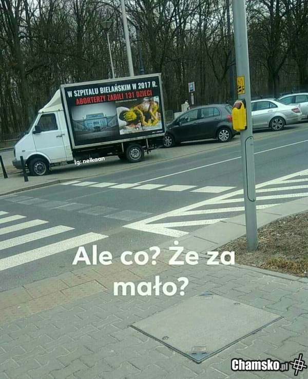 to duzo?