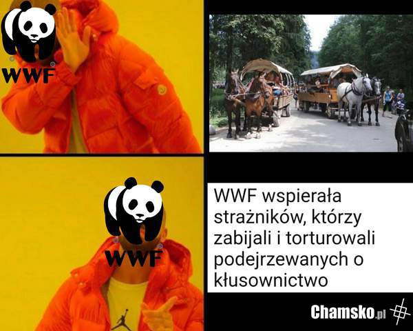 Lewacka logika