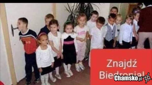 Dupek