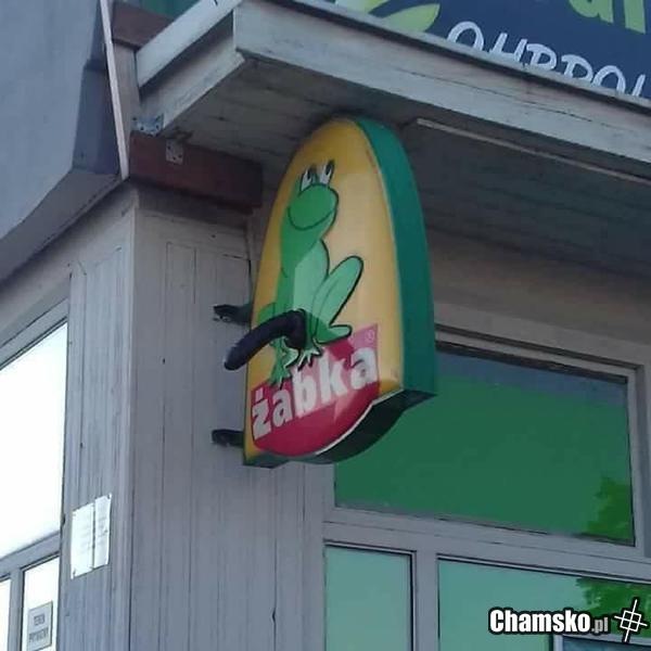 żabka