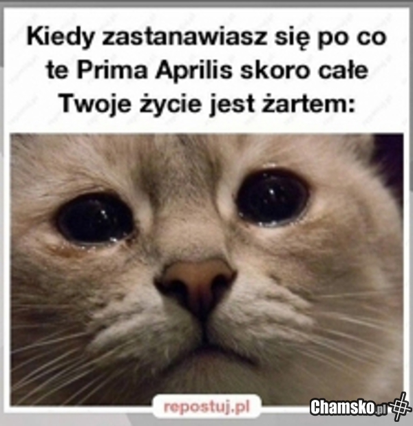 Hahaha...