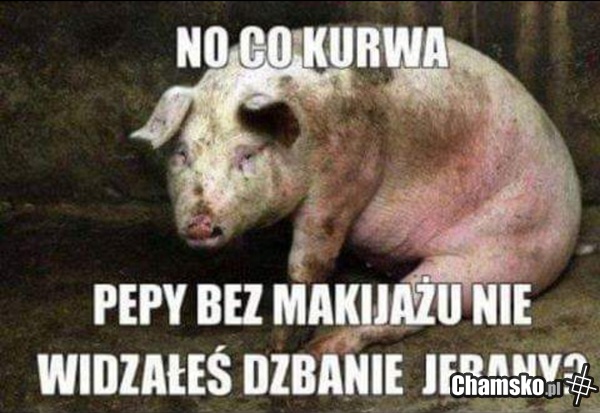 Świnka Peppa